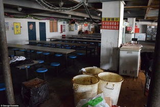 外媒報(bào)道引發(fā)關(guān)注 iPhone上海代工廠員工住宿服務(wù)引爭議
